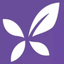 丁香园 logo